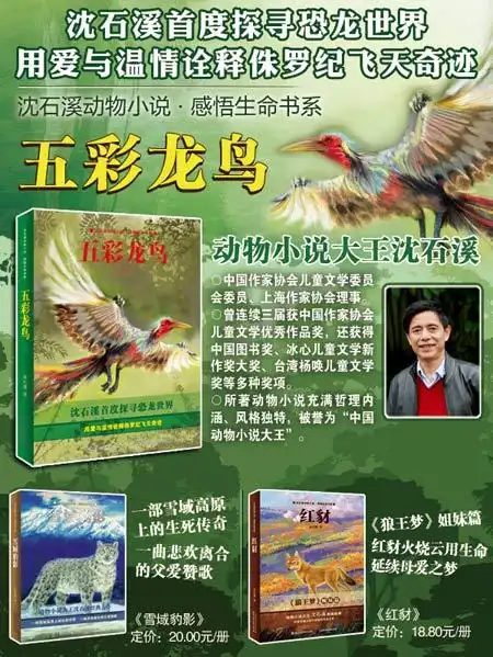 回至 沈石溪动物小说感悟生命书系:五彩龙鸟 (平装)