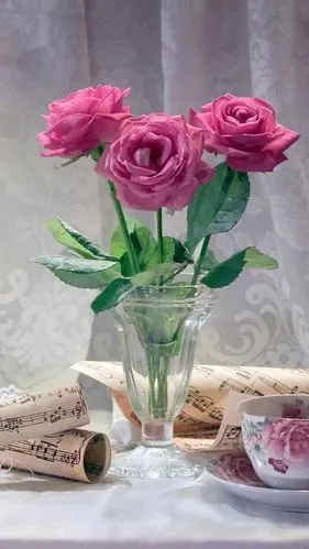 花语-堆糖,美好生活研究所