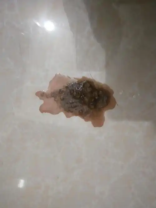 下班刚到家看到地上有两滩这样的,像吐的夹有猫粮.