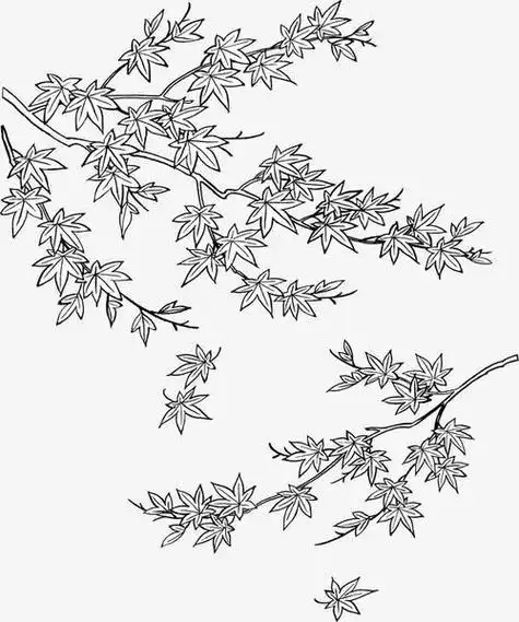 枫叶 strong>简笔画画 /strong>法