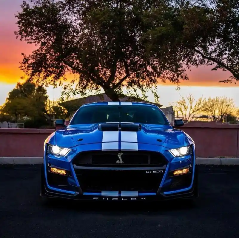 01史上最强野马 | 福特野马谢尔比gt500 04稍微对野马了解的朋友