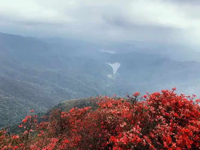 331从化通天蜡烛广州周边带狗狗徒步