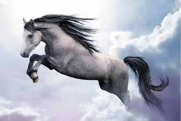 90年属马的幸运数字和颜色(1990属马最适合颜色是什么)