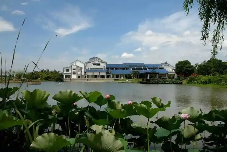 壮丽70年画里画外话变化丨与祖国共命运缪家村的甜蜜蝶变