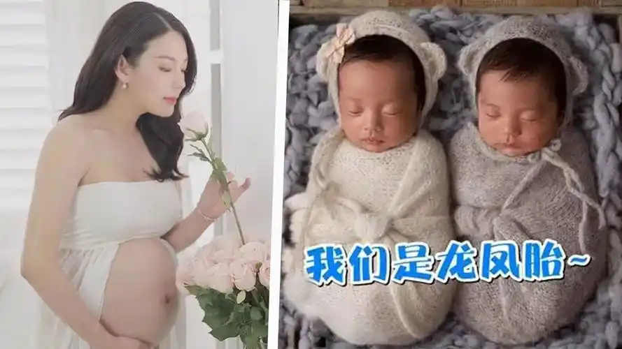 张雨绮代孕合同曝光杨天真晒张雨绮挺巨大孕肚实力辟谣