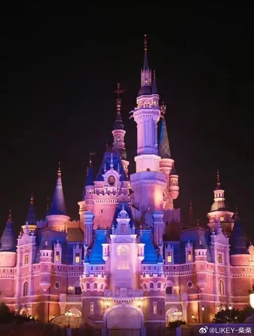 迪士尼 7901 永远是女孩的梦幻城堡98  是的,每个女孩心中都有