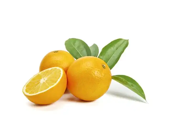 白底小清新橙子背景图片