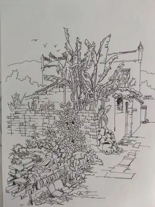 速写打卡临摹汤向