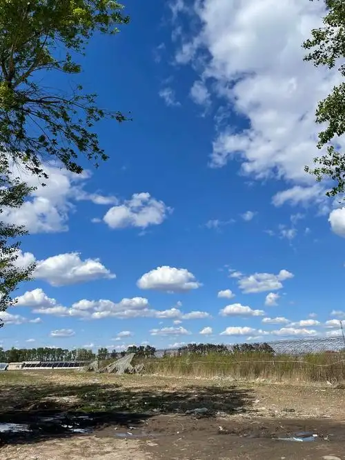 希望的田野湛蓝的天空洁白的云朵清新的自然