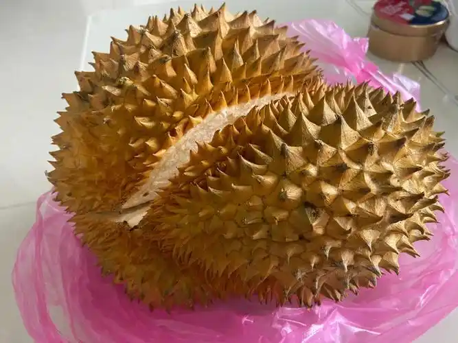 超大榴莲