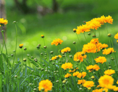 639_504gif 动态图 动图