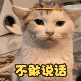 谁敢说我笨图片_谁敢说我笨动态图_谁敢说我笨表情包gif动图下载_soo