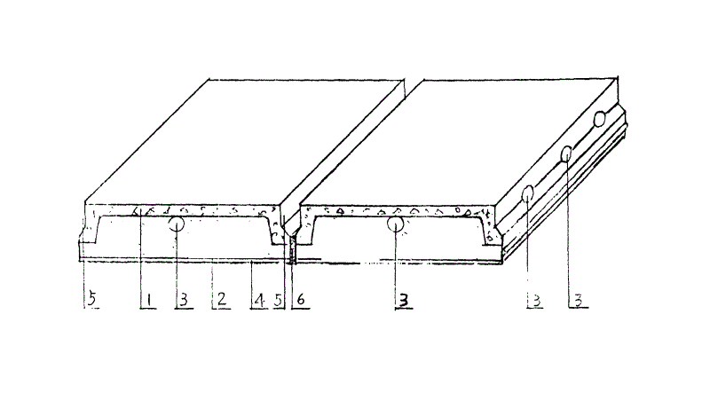 cn2126266u_承重,保温,装修预制板失效