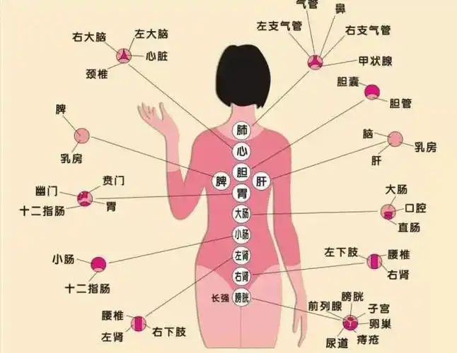 从拔罐颜色看个人身体情况