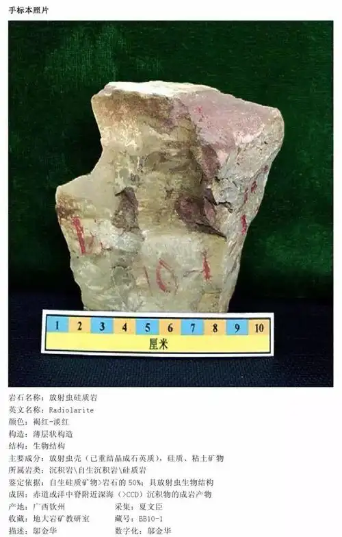 三大岩类薄片,手标本对照,轻松认识213种岩石!