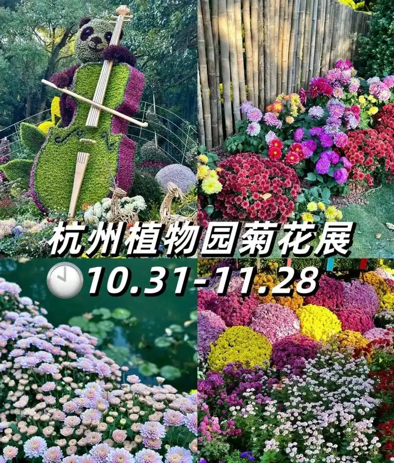 杭州植物园菊花展.韩美林艺术馆还有熊猫展哦!还有门口的大佛 - 抖音