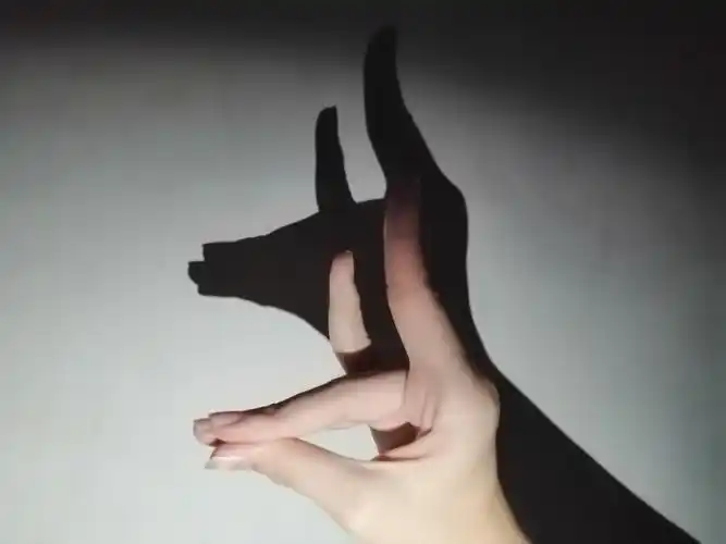 兔子,狗,小鸟等等就成了手影主要表现对象.