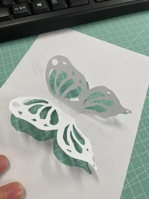 立体纸雕第一次打卡