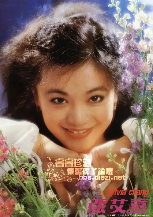 张艾嘉精美纯影集