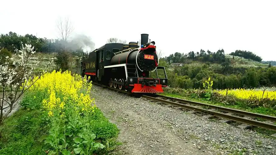 我们坐上了世界绝版的蒸汽小火车(犍为奇幻之旅之一)