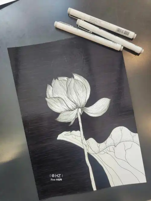 绘画练习黑白装饰画荷花临摹