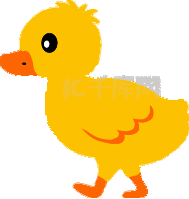 鸭子小黄鸭走路走动物家禽黄色动图gif