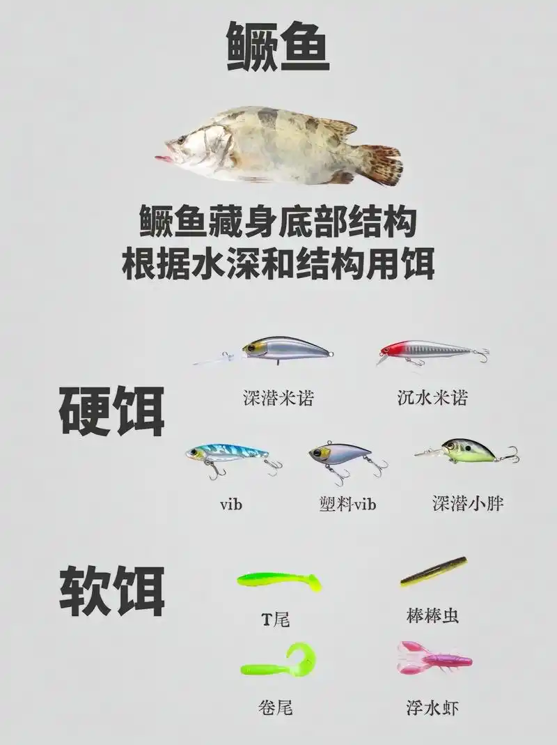 常见路亚淡水目标鱼的习性及假饵推荐!路亚新手必修课!