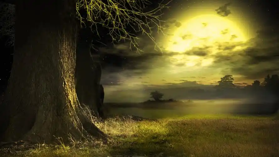 大树月亮唯美夜晚风景壁纸