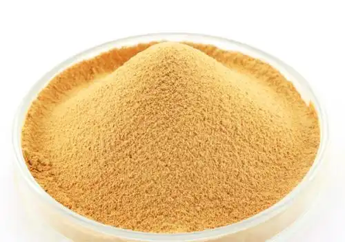 牛樟芝液体发酵菌粉