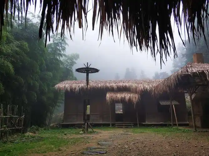 竹林边的小木屋,茅草盖的,安谧,清爽,适宜静居.