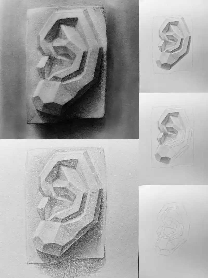 石膏耳朵素描步骤图入门级