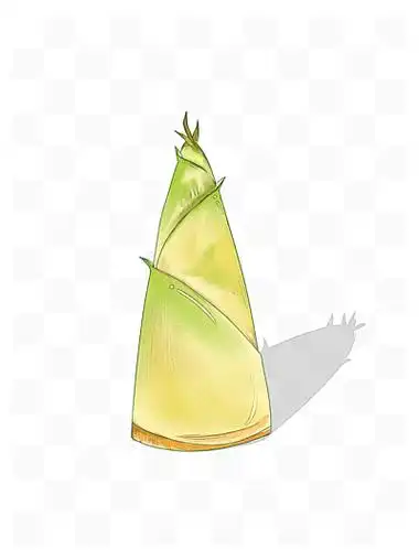 i>简 /i> i>易 /i>卡通竹笋插画