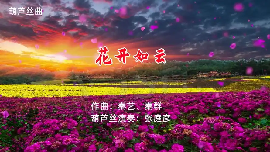 花开如云葫芦丝