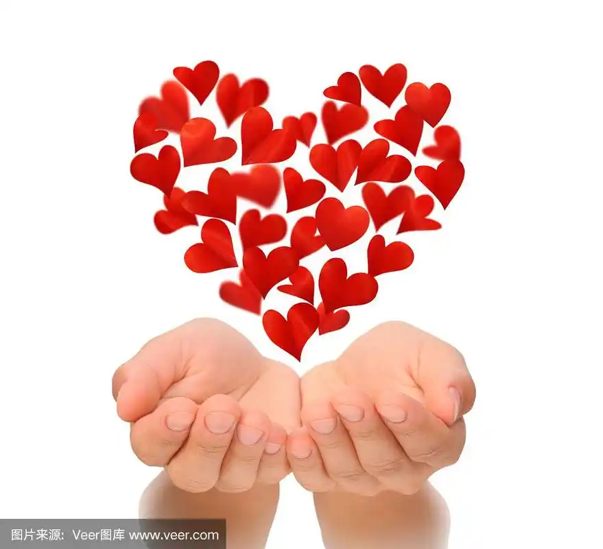 心形的心在女人的杯状双手上飞舞