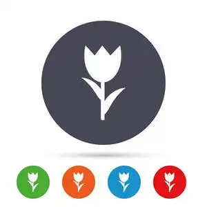 花标志图标花图案由黄色的蒲公英花在白色背景下分离.平躺.