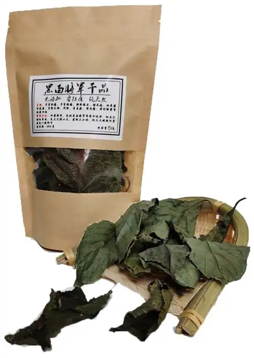 正宗黑面将军干叶马来西亚化石草干叶地毯草干品脆叶绿植