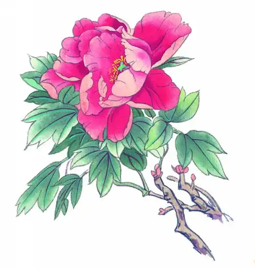 国画牡丹图片 绘画,牡丹,国画, _ 国画牡丹[图片专辑] _ 图片网