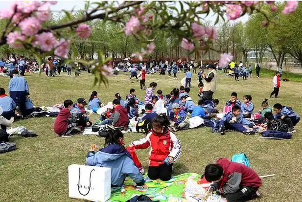 学生集体春游花费22300老师提议费用aa惹怒家长谁出风头谁给