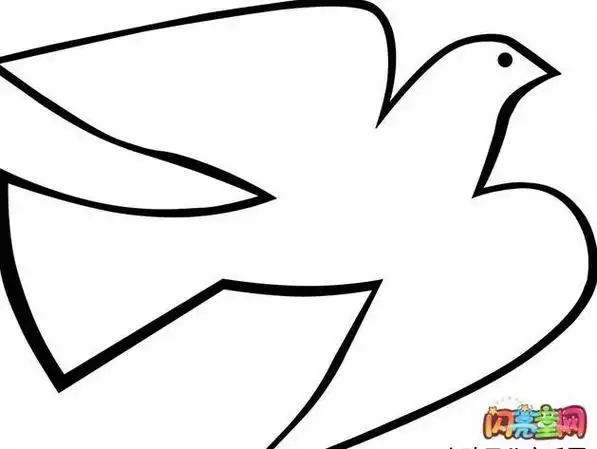 关于和平鸽的简笔画小鸽子浑身的羽毛像