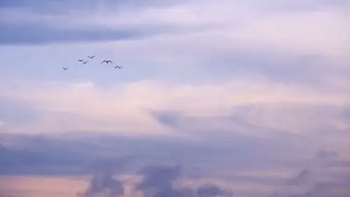 ins潮图朋友圈背景图/高质量/神仙背景/wb:… - 堆糖,美图壁纸兴趣