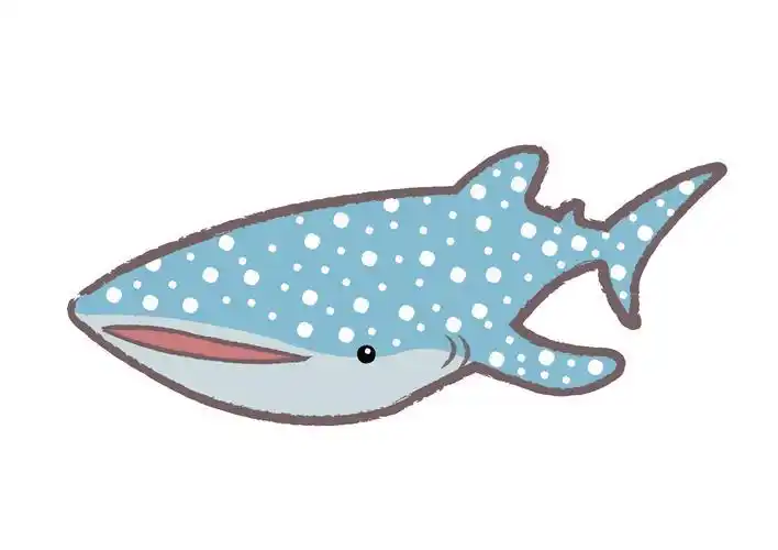 怎么画鲸鲨简笔画