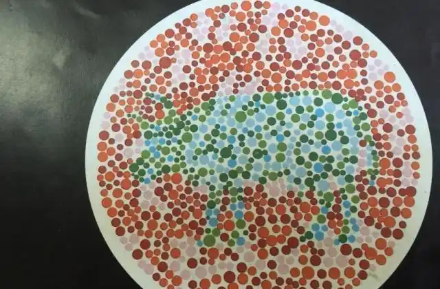 6张驾考色盲检测图:若看不到图2的"兔子",你几乎和开车无缘!