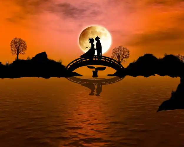 的情意真和美,                    情美好,                    喜鹊