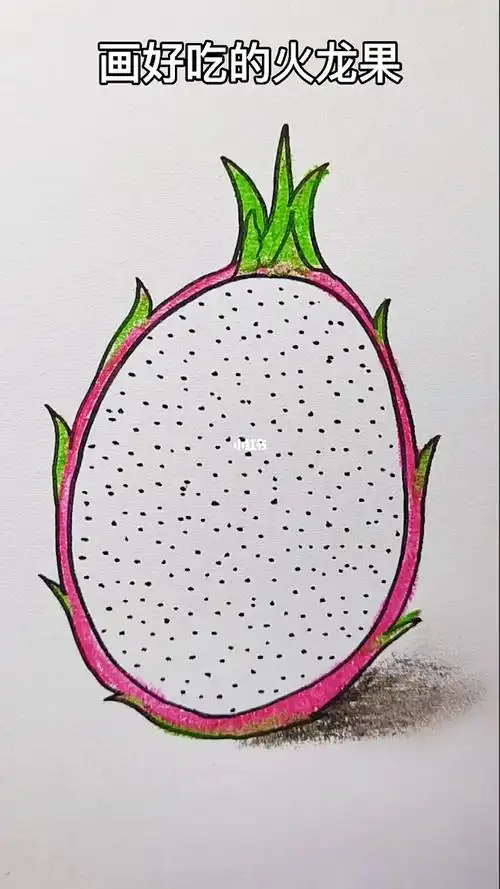 简笔画教程  #画个简笔画  #火龙果