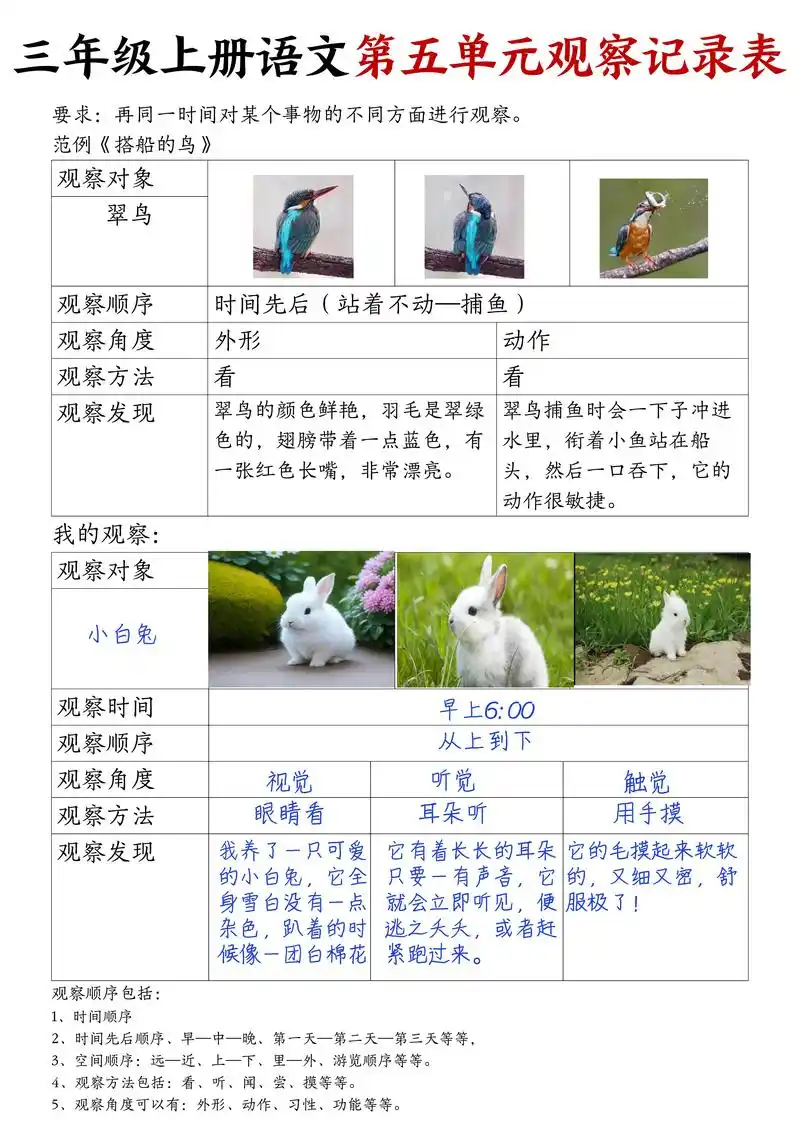 三年级上册语文第五单元观察记录表#三年级上册语文 #观察记录 - 抖音