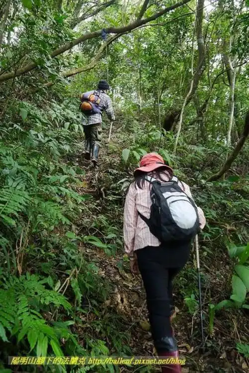 【新北市】鸡心尖-中岭山-石碇后山-赤脚兰山-鸟嘴尖