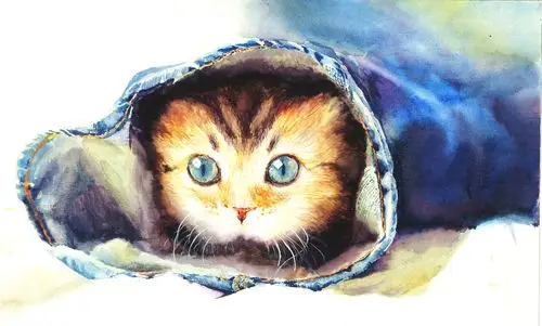 水彩习作|插画|插画习作|王zhazha - 原创作品 - 站酷 (zcool)