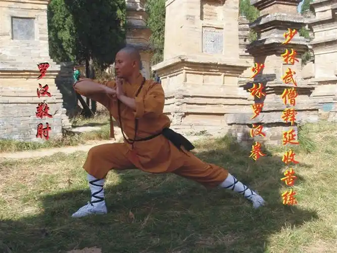 p>少林五形拳(又称"少林五行 a target="_blank" href="/item/八法拳