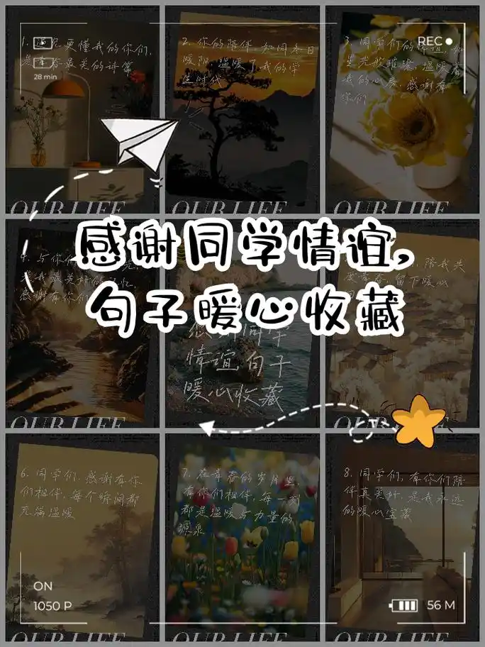 感谢同学情谊,句子暖心收藏