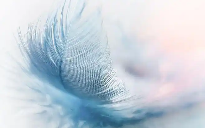 百度识图搜索结果